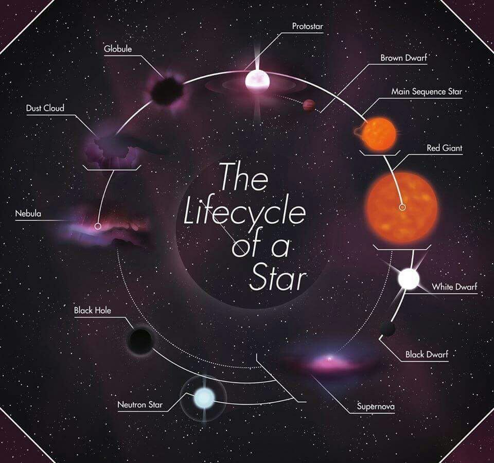 The_Lifecycle_of_a_Star The lifecycle of a star.