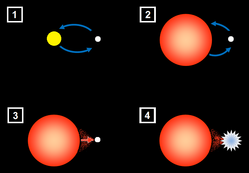 White_dwarf_accretion_to_type_1a_supernova The formation of white dwarf