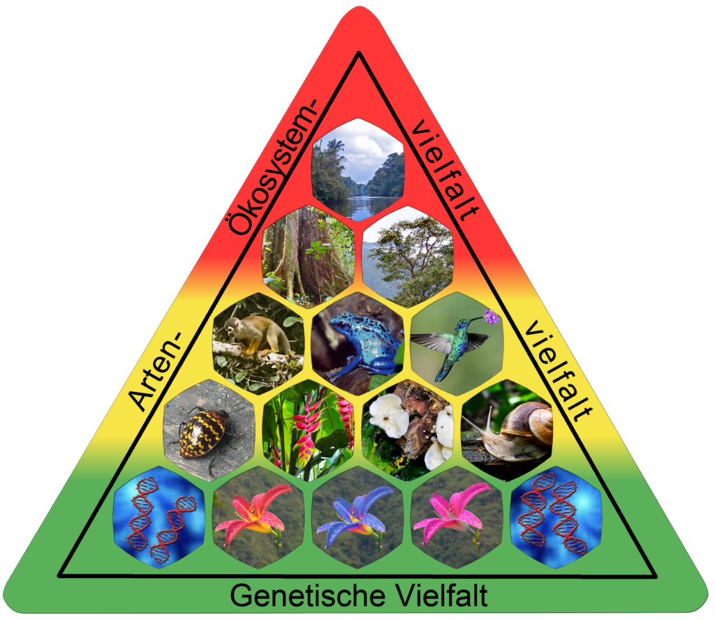 Elements-of-biodiversity Elements-of-biodiversity